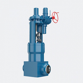 Pressure seal gate valves 