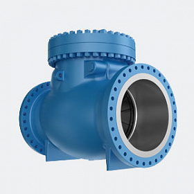 Top Entry Check Valves 