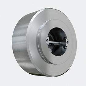 Dual Plate Check Valves