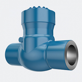 Pressure Seal  Check Valves
